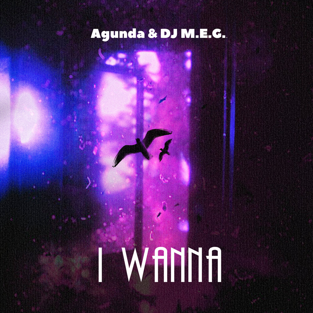 Agunda и DJ M E G - I wanna